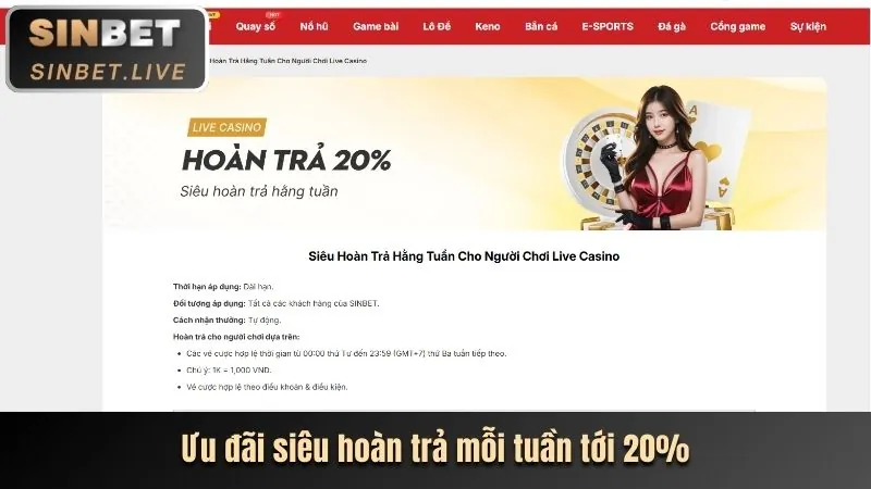 Chương trình khuyến mãi và VIP độc quyền tại new8